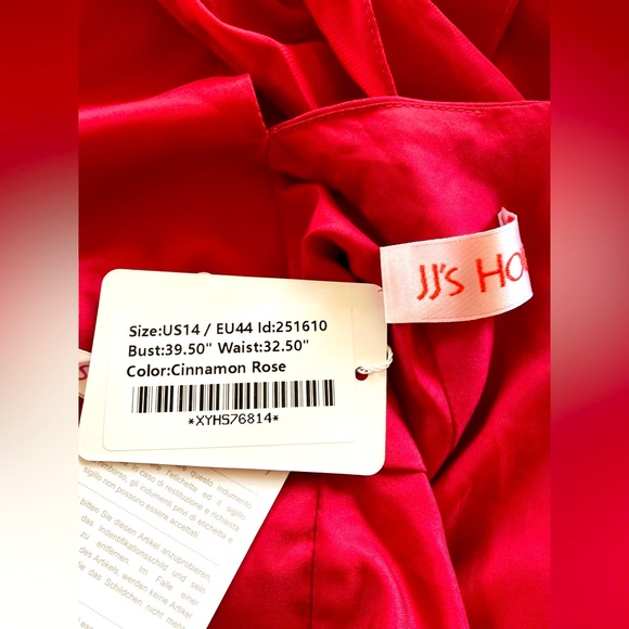 JJsHOUSE CINNAMON ROSE FLOOR-LENGTH SPECIAL OCCASION DRESS PLUS SIZE 14 🌟NWT🌟 - Picture 15 of 16